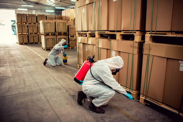Best Affordable Pest Control Services  in Hoopers Creek, NC
