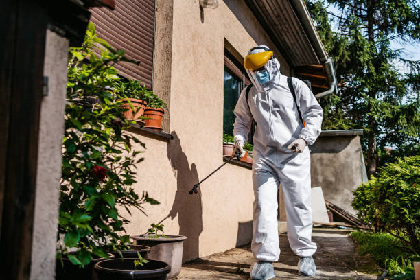 Reliable Hoopers Creek, NC Pest Control Solutions