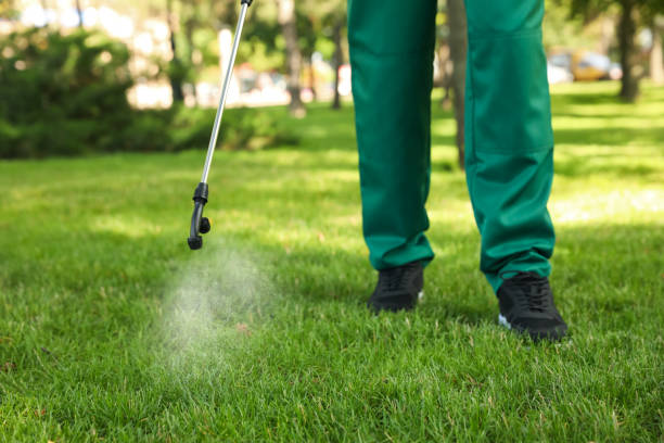 Best Affordable Pest Control Services  in Hoopers Creek, NC