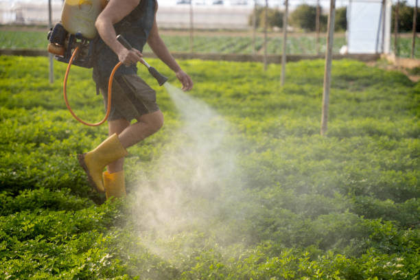 Best Pest Control for Businesses  in Hoopers Creek, NC