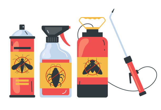 Best Ant Control Services  in Hoopers Creek, NC