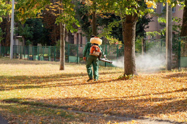 Best Wasp Removal Services  in Hoopers Creek, NC