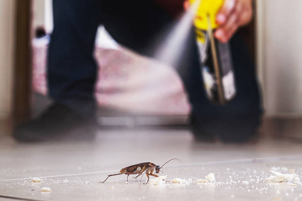 Best Mosquito Control Services  in Hoopers Creek, NC