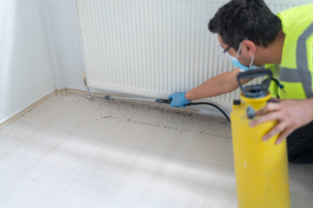 Best Residential Pest Control  in Hoopers Creek, NC