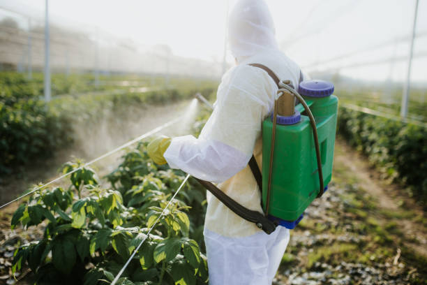  Hoopers Creek, NC Pest Control Pros